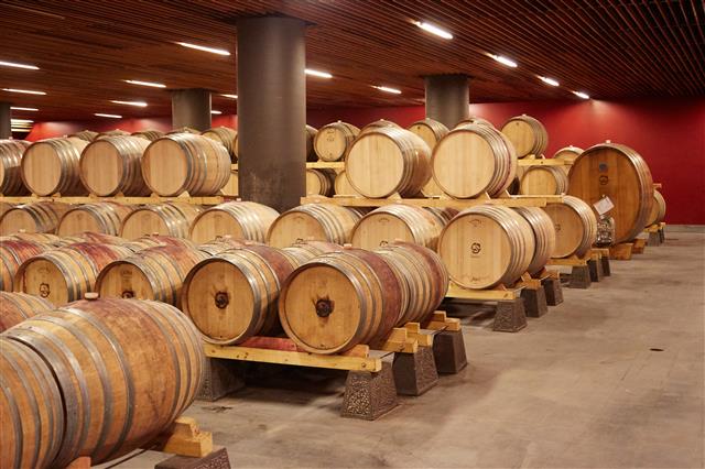 줄지어 서 있는 와인 오크통. 오크통 안에서 천천히 숙성된 와인은 복잡한 풍미를 가지게 된다.