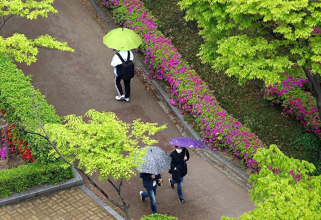 Pedestrians holding umbrellas walk along a street in Gwangju on Monday. (Yonhap News)