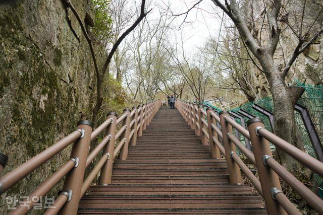 대둔산 등산로는 거의 대부분 계단이다. 길지 않지만 경사가 가팔라 발목을 감싸는 등산화를 착용하는 게 편하다.