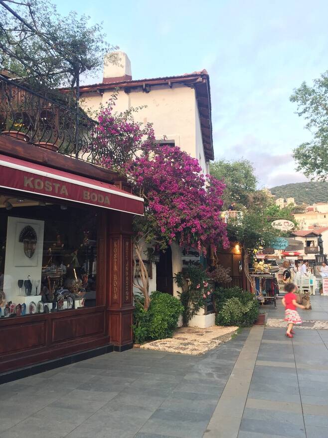 2015년 5월. 카시 동네 산책 중, 가게 옆에 피어 있는 꽃이 예뻐서 찍은 사진. 김다현 제공