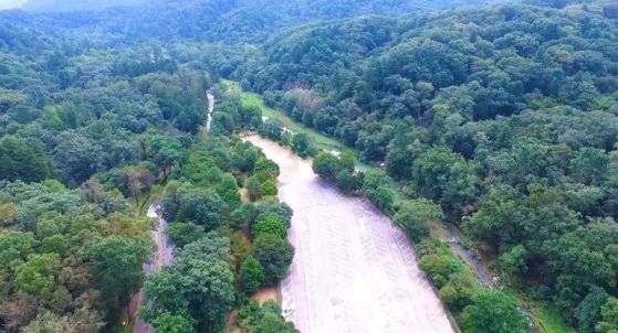 광릉숲길 전경. 국립수목원