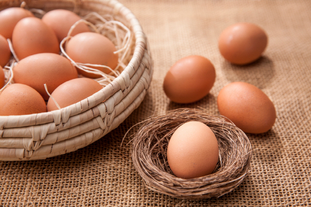 달걀 신선도를 확인하려면 그리고 신선하게 보관하려면 달걀의 ‘기실’을 알아야 한다./사진=클립아트코리아