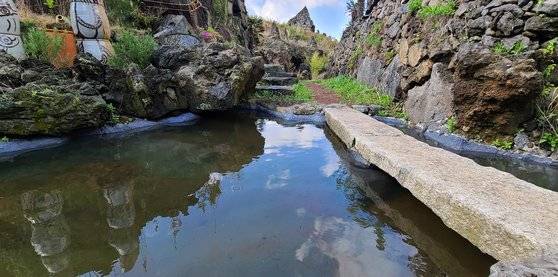 탐나라공화국에는 80개가 넘는 연못이 있다. 이젠 제법 원래 그 자리에 있었던 것처럼 보인다. 손민호 기자