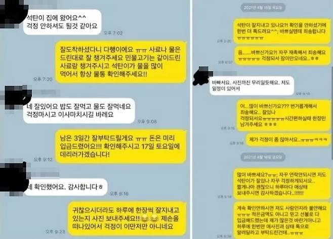 햄스터 주인과 펫시터 간 카카오톡 대화 내용. ‘석탄이’는 햄스터 이름. 온라인 커뮤니티 캡처