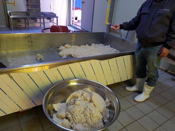 문경주조 양조장 직원이 고두밥을 쪄서 식히고 있다.