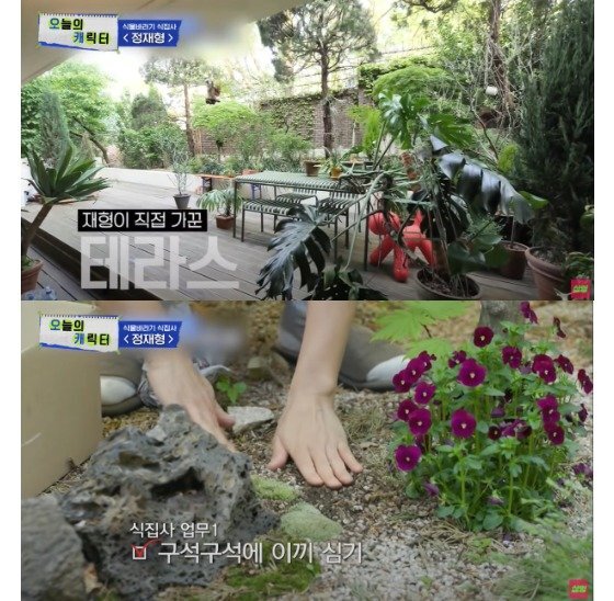 지난 주말 방영된 '온앤오프'에서 공개된 가수 정채형의 정원. 식물을 돌보는 '식물 집사'의 일상을 보여줬다. 사진 샾잉 유튜브 채널 캡처