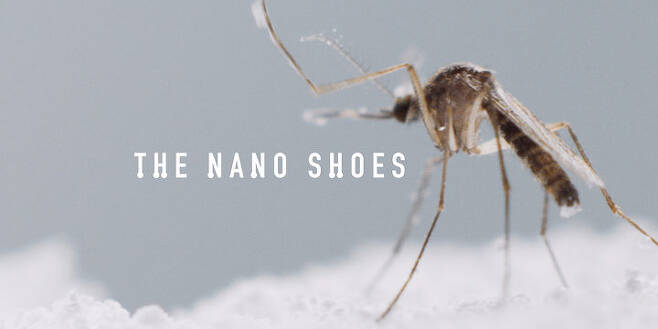 출처: The Nono Shoes