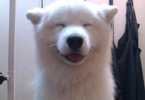 출처: imgur.com
