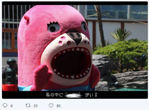 출처: 가쓰라하마 수족관 트위터