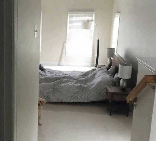 출처: 다음 카페 ∙ 도탁스