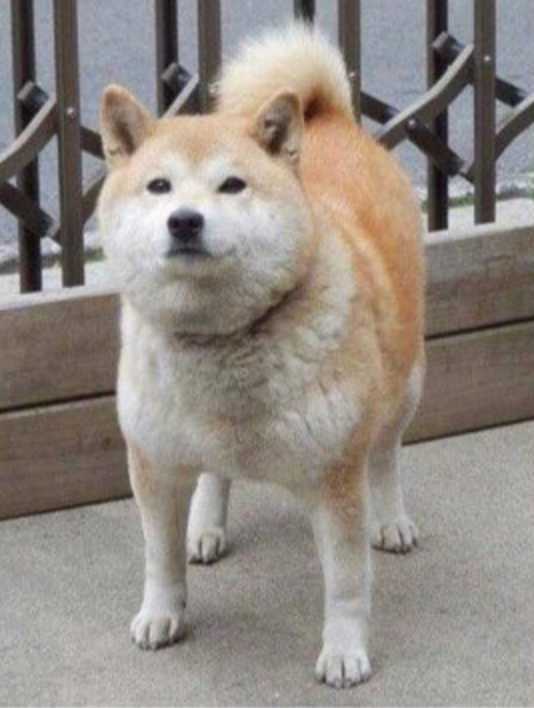 출처: 다음 카페 ∙ 왕비재테크