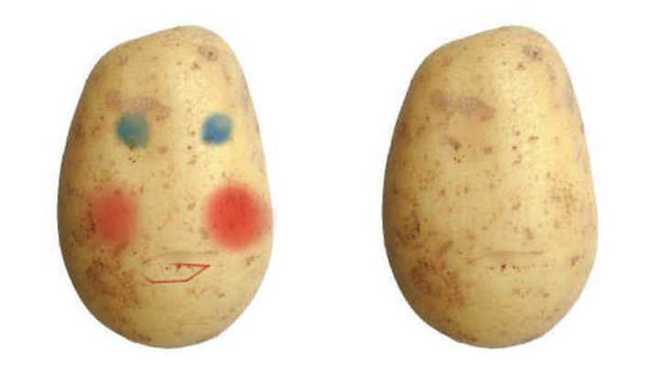 출처: 다음 카페 ∙ 훌리건 천국