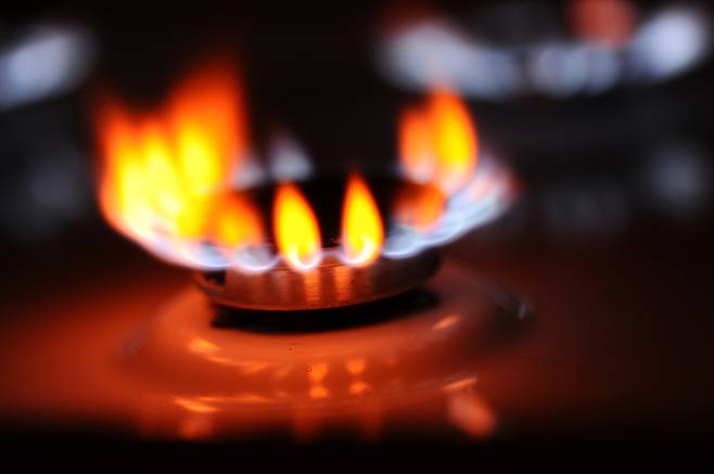 출처: gettyimagebank