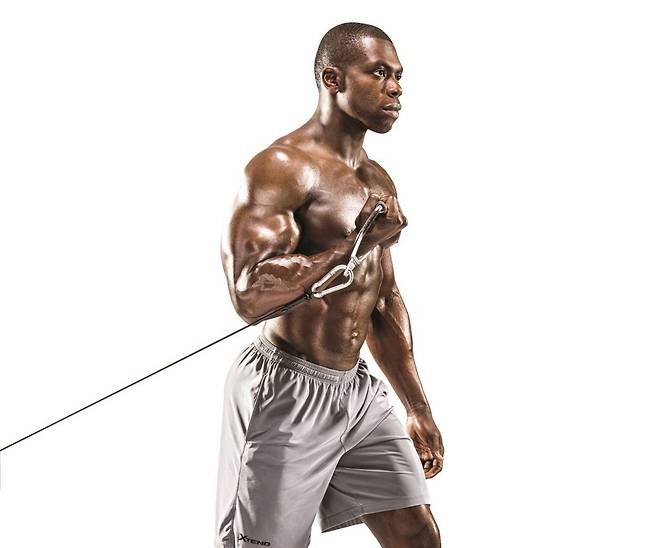 출처: 머슬앤피트니스