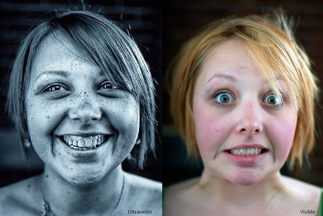 출처: https://commons.wikimedia.org