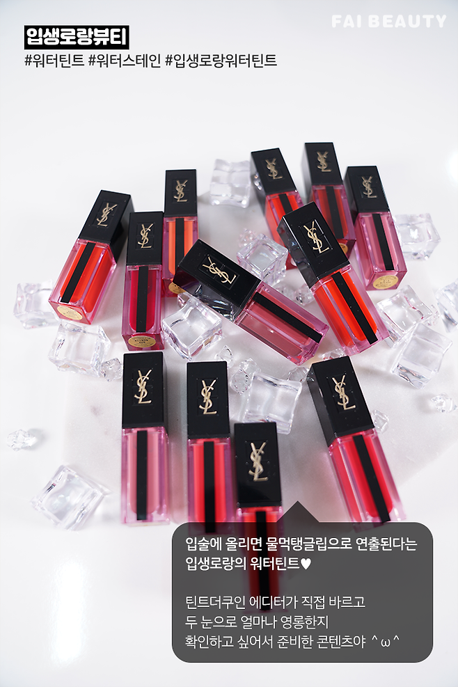 출처: 파이베트 (파이뷰티)