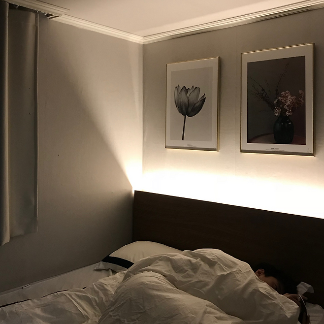 출처: 오늘의집 제품정보 모아보기(▲이미지클릭)