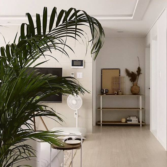 출처: <조립식선반> 등 제품정보 모아보기(▲이미지클릭)