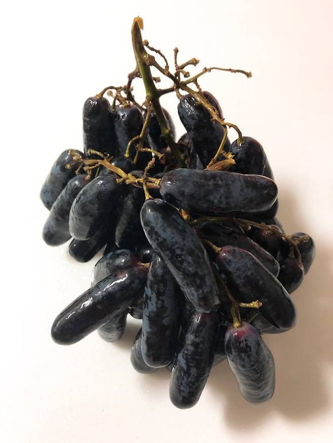 출처: 리얼푸드