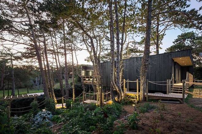 출처: ⓒCyril Folliot