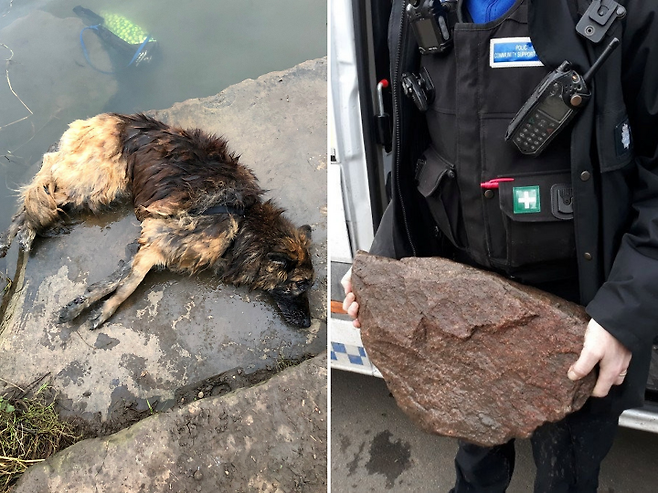출처: https://www.independent.co.uk/news/uk/crime/dog-rescue-river-drown-trent-nottinghamshire-court-b1815058.html