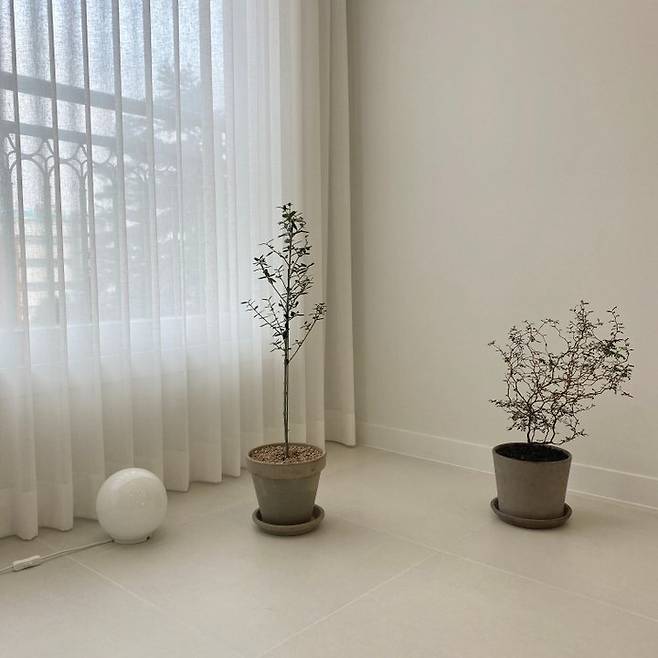 출처: 온라인 집들이 보러 가기 (▲이미지 클릭)