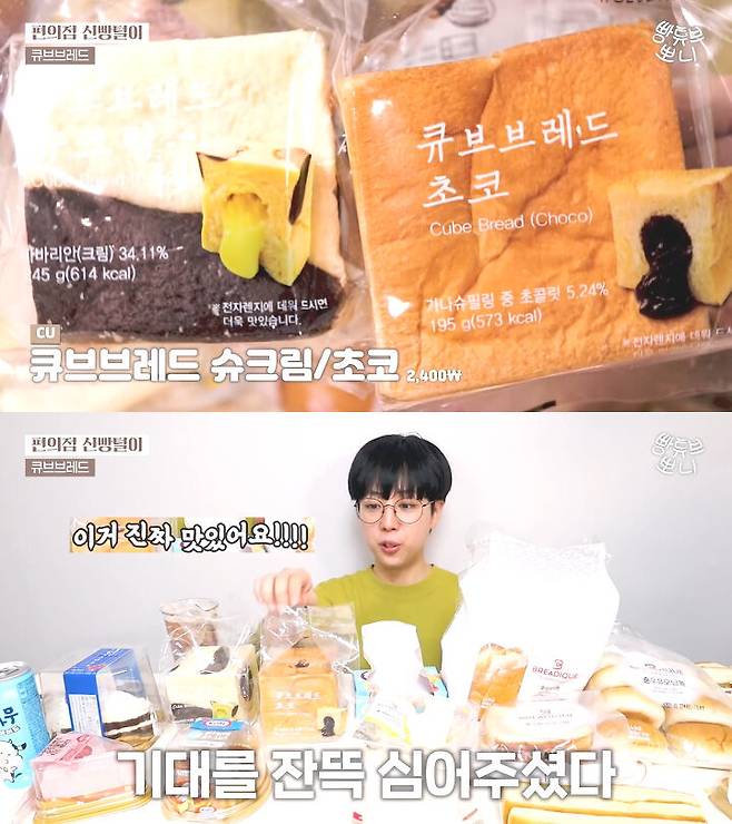 출처: 뽀니 BreadTube 유튜브 채널