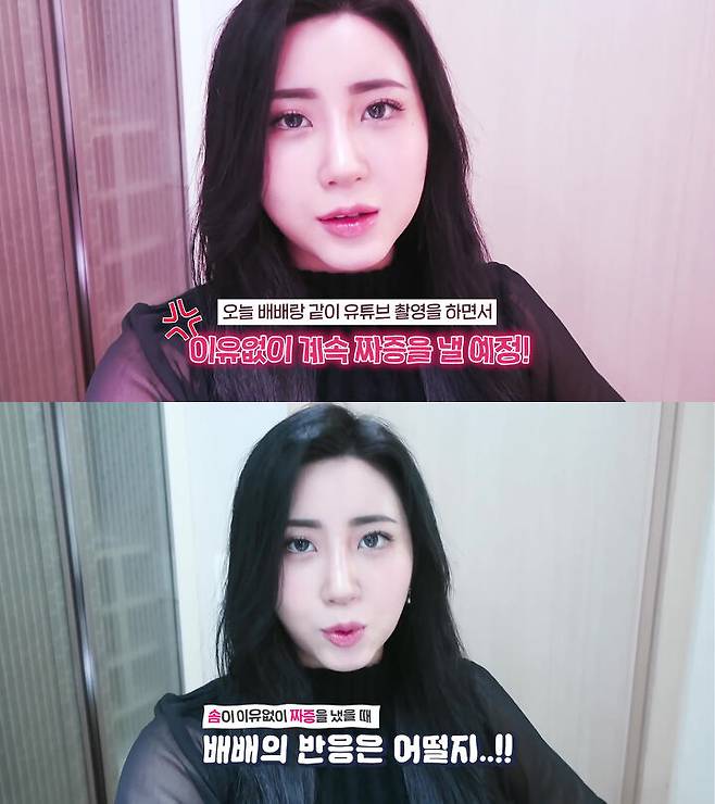 출처: 배솜몬 유튜브 채널