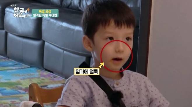 출처: '어서와~ 한국은 처음이지?'