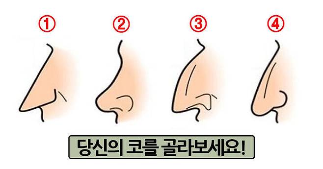 출처: 당신의 코는 어떻게 생겼나요?