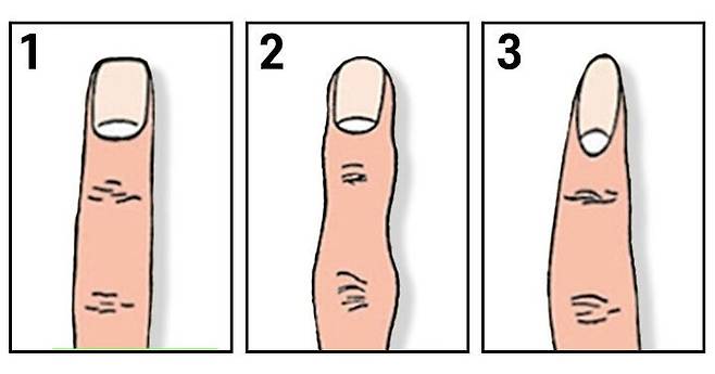 출처: 당신의 손가락 모양은 무엇인가요?