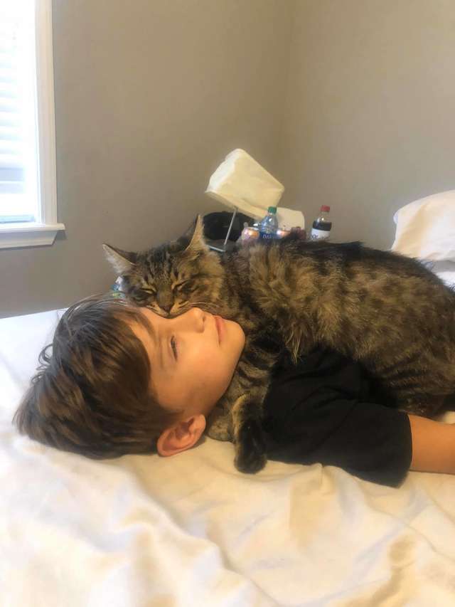 출처: https://www.thedodo.com/close-to-home/cat-sleeps-hugging-his-best-friend