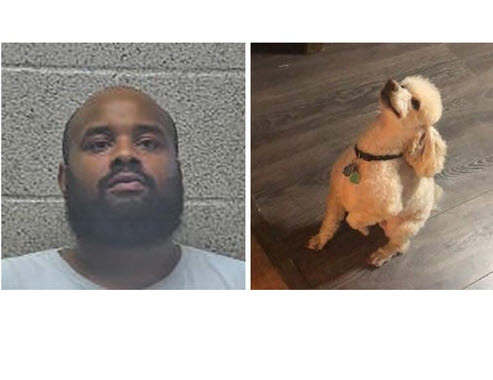 출처: https://www.thegleaner.com/story/news/2020/08/05/henderson-man-accused-burning-dog-alive-indicted/3298604001/