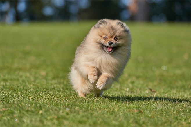 출처: 게티이미지뱅크