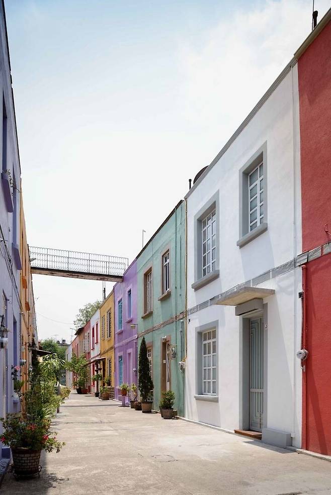 출처: ⓒMoritz Bernoully