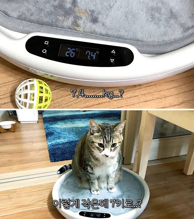 출처: 유튜브 '햄튜브' 채널