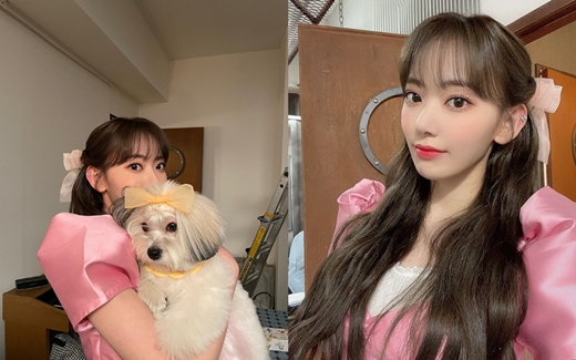 Sakura Miyawaki from girl group IZ*ONE has revealed the latest situation.Sakura wrote on Instagram on the 28th that he wanted to see... and posted several photos: a photo of a cute puppy in his arms.Both Sakura and the dog are dressed in ribbons - full of affection in Sakuras eyes, who hold the dog.Sakura also released a selfie photo of herself, which the doll-like beauty of Sakura stares at the camera with her long hair hanging down from a thick wave exhilarates.Meanwhile, Sakura will end his group HKT48 activities after a graduation concert on June 19th.