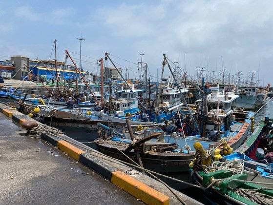 지난 27일 오후 제주도 서귀포시 모슬포항에 정박한 자리돔 어선들. 최충일 기자