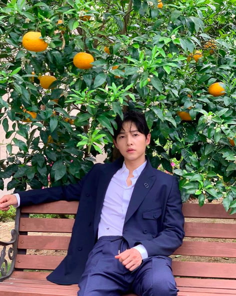 Actor Song Joong-ki has released his daily life like a pictorial one.On the 31st, Song Joong-kis official Instagram   account posted a picture of Song Joong-ki, who sat under an open orange tree and stared at the camera.Song Joong-ki is wearing a light blue shirt and navy suit, and she has two charms: boyhood and masculine beauty. Even though she is sitting in a Mercedes, the picture-like visual attracts her attention.On the other hand, Song Joong-ki received a lot of love for playing the role of the main character Vincenzo Casano in the TVN Drama Vincenzo which last month.a fairy tale that children and adults hear togetherstar behind photoℑat the same time as the latest issue