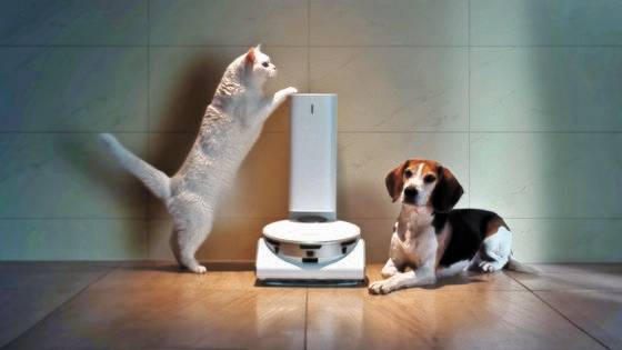 삼성전자는 로봇청소기에 반려동물을 모니터링하는 ‘스마트싱스 앱 펫 케어 서비스’를 넣었다.