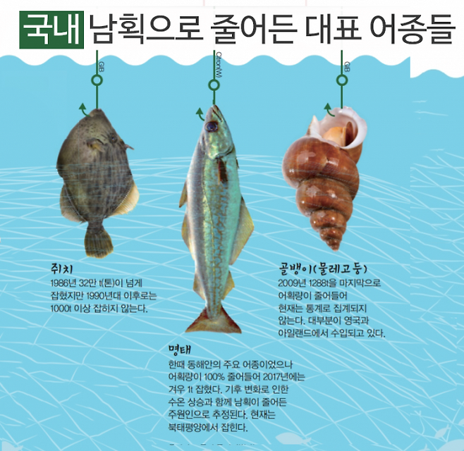 어린이과학동아DB