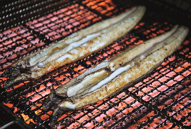 손질한 장어는 초벌구이해서 기름기를 쫙 뺀 후 소금을 치거나 양념을 발라 구워낸다. /조선일보DB