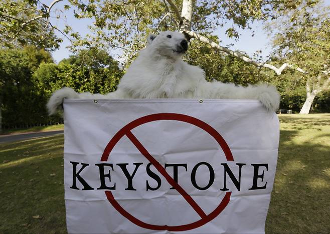 북극곰 복장을 한 생물다양성센터의 한 회원이 키스톤 XL 파이프라인에 항의하고 있다. AP 연합뉴스