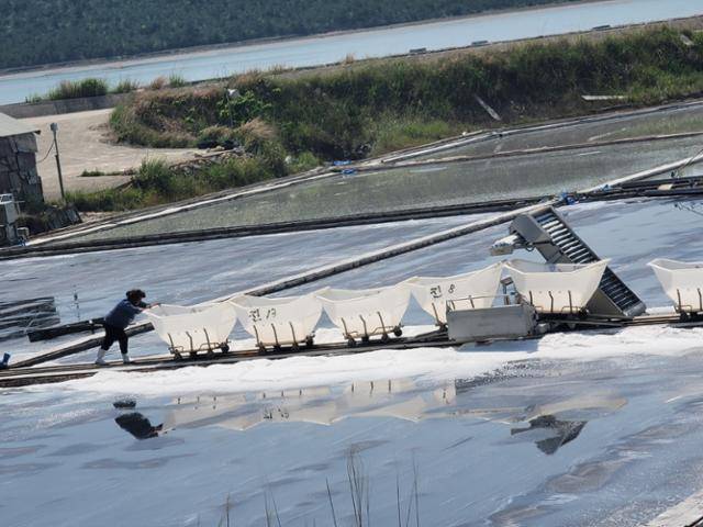 신안군 신의면의 한 어민이 소금밭에서 수확한 소금을 담기 위해 수레를 밀고 있다. 신안=박경우 기자