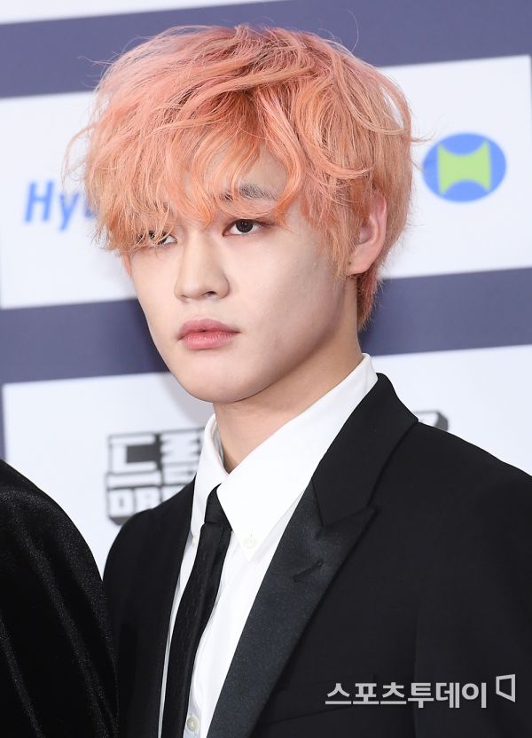 The 27th Dream Concert was held at the Sangam World Cup Stadium in Seoul Mapo District on the afternoon of the 26th.The group NCT DREAM Chenle is stepping on the red carpet at the photo wall event that preceded the performance. 2021.06.26.