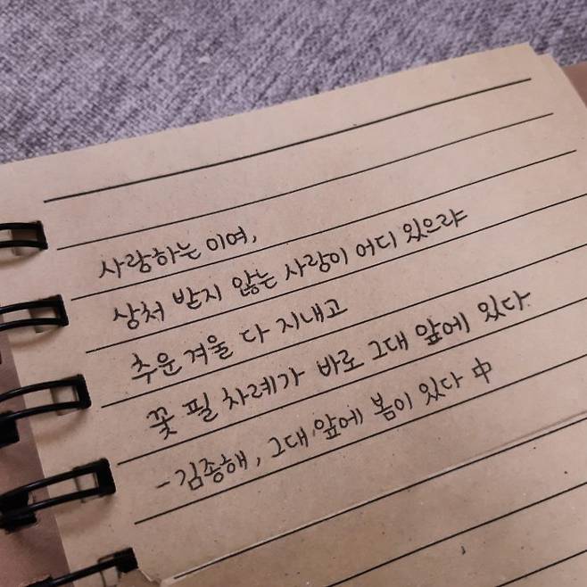 (사진=주서희 씨 제공)