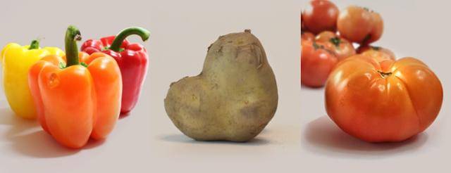 '못난이' 농산물 전문업체인 프레시어글리는 사진 속 '등급 외' 농산물을 매입해 보다 저렴하게 소비자에게 공급한다. 신선하고 맛도 좋은 농산물이지만, 모양 탓에 시장의 선택을 받지 못한 것들이다. 프레시어글리 제공