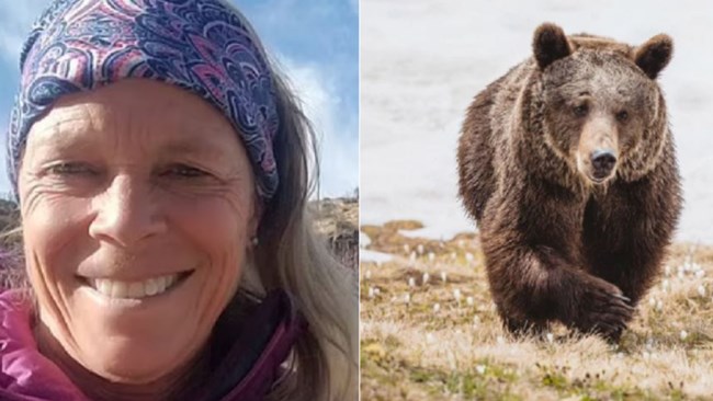 회색곰의 공격으로 숨진 피해 여성의 모습