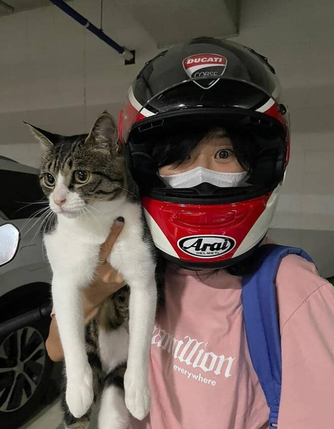 Choi Kang-hee posted two photos on her Instagram account on Saturday with an article entitled Selub Catrang.In the open photo, Choi Kang-hee is looking at the camera with Cat wearing a motorcycle helmet. Choi Kang-hee announced that this Cat is cat rock.Catbawi is known as Cat by a gagwoman Kim Sook acquaintance, whose Instagram account is popular enough to have 2,500 followers.Meanwhile, Choi Kang-hee appeared on KBS 2TV drama Hello? Its me!, which last April.