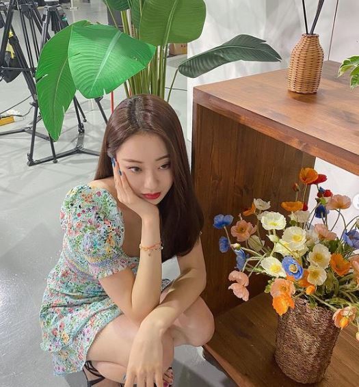 Kyungri, a former girl group Nine Muses, showed off her flower beauty.On the afternoon of the 20th, Kyungri posted two photos on his Instagram with an article called Flower Field.In the open photo, Kyungri is squatting next to a flower prop in a floral dress.Kyungris fans responded with a hot response, saying, I can only see flowers and The left flower is the most beautiful.Meanwhile, Kyungri is appearing on Dong-A TV Beauty and Buty Season 6.